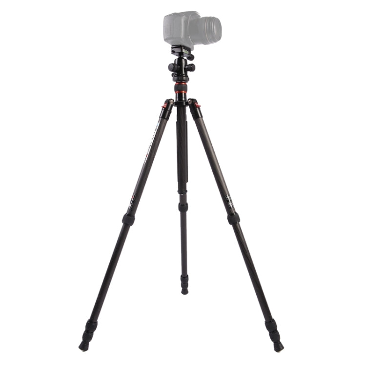 Triopo GT-2504X8.C Adjustable Portable Carbon Fiber Tripod with B-1 Aluminum Ball Head for Canon Nikon Sony DSLR Camera