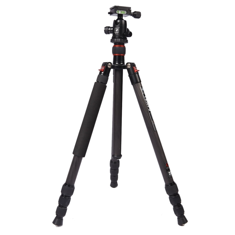 Triopo GT-2504X8.C Adjustable Portable Carbon Fiber Tripod with B-1 Aluminum Ball Head for Canon Nikon Sony DSLR Camera