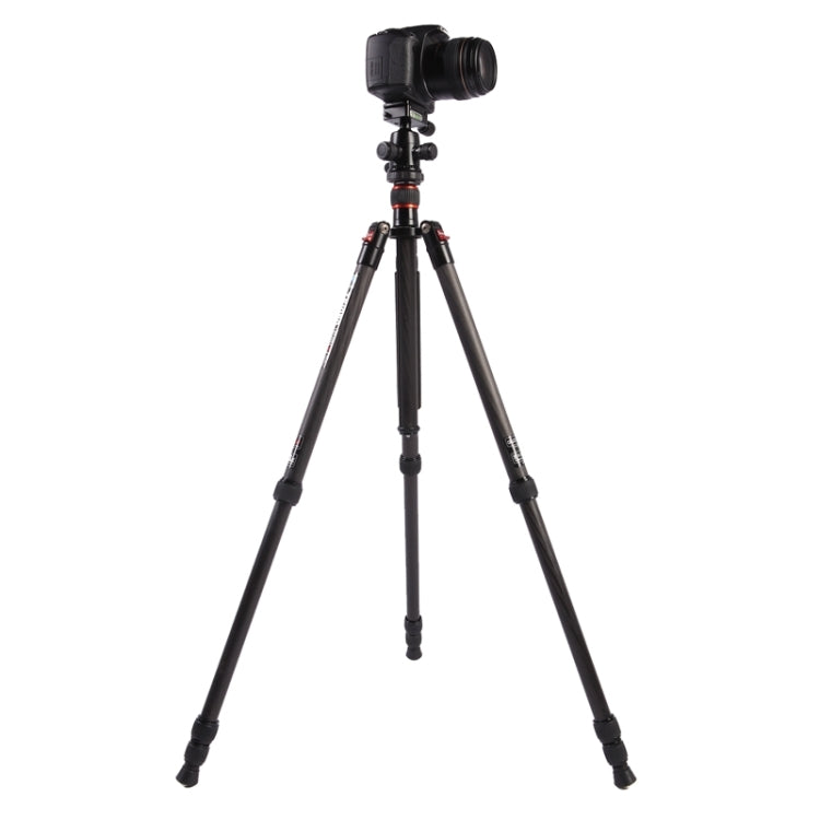 Triopo GT-2504X8.C Adjustable Portable Carbon Fiber Tripod with B-1 Aluminum Ball Head for Canon Nikon Sony DSLR Camera