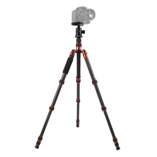 Triopo GT-2505x8.C Adjustable Portable Carbon Fiber Tripod with B-1 Aluminum Ball Head for Canon Nikon Sony DSLR Camera