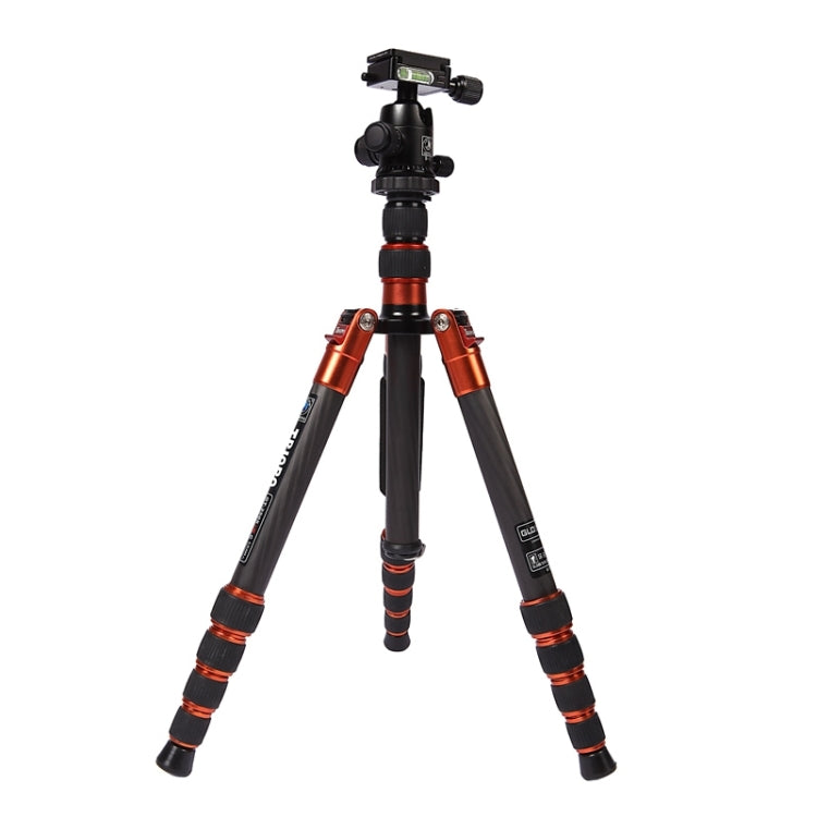 Triopo GT-2505x8.C Adjustable Portable Carbon Fiber Tripod with B-1 Aluminum Ball Head for Canon Nikon Sony DSLR Camera