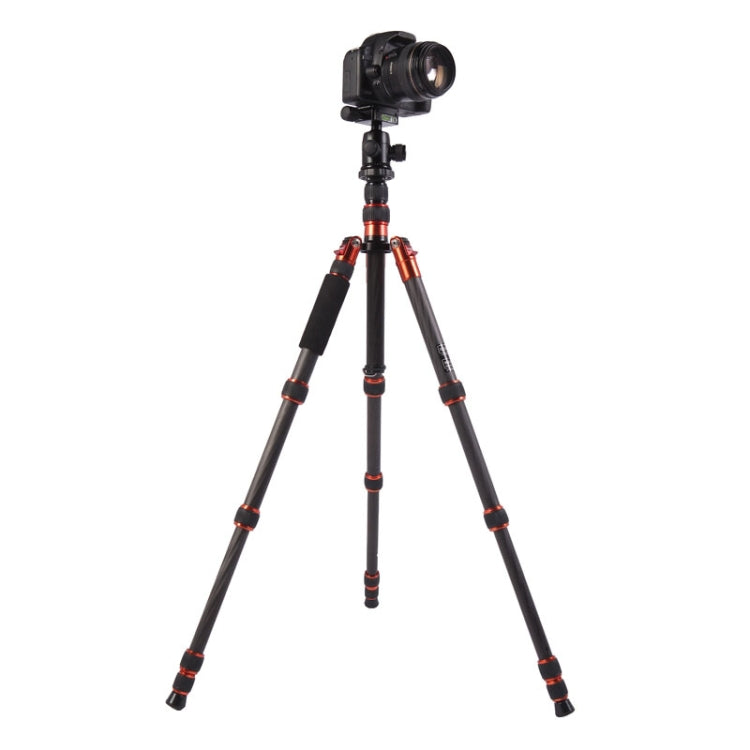 Triopo GT-2505x8.C Adjustable Portable Carbon Fiber Tripod with B-1 Aluminum Ball Head for Canon Nikon Sony DSLR Camera