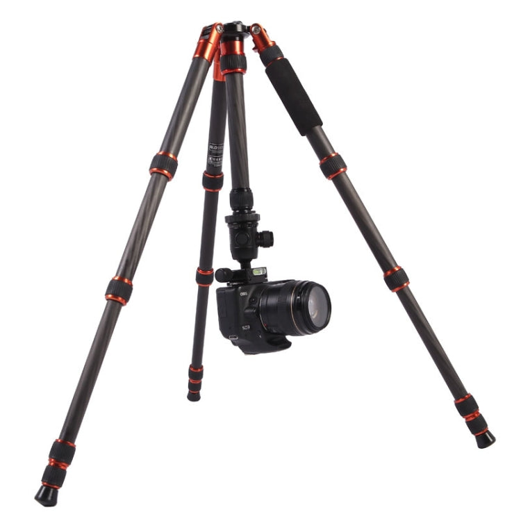 Triopo GT-2505x8.C Adjustable Portable Carbon Fiber Tripod with B-1 Aluminum Ball Head for Canon Nikon Sony DSLR Camera