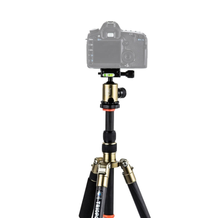 Triopo GT-2505x8.C Adjustable Portable Carbon Fiber Tripod with B-1 Aluminum Ball Head for Canon Nikon Sony DSLR Camera