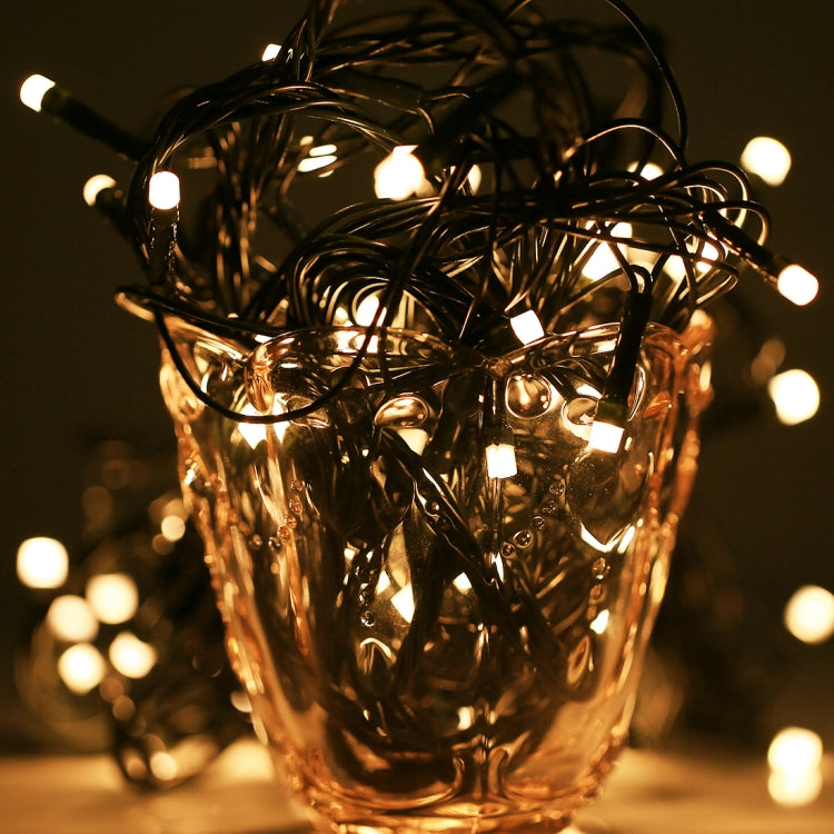 100 LED RGB Light with Controller, Flashing / Fading / Chasing Effect