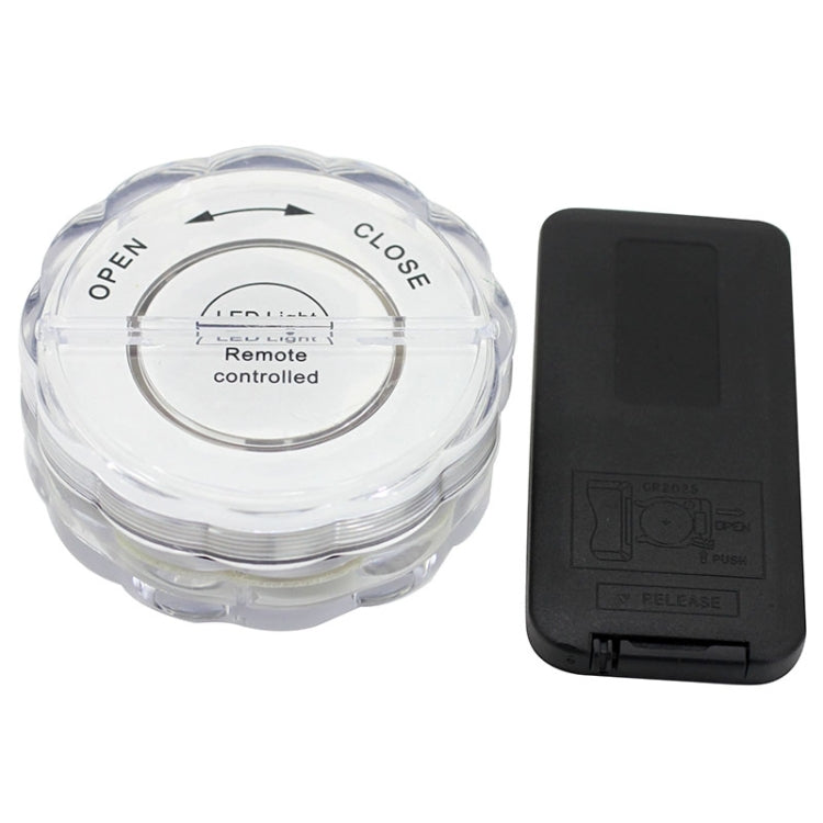 10-LED with Remote Control