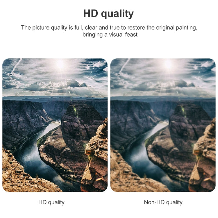 DisplayPort Male to HDMI Female Adapter