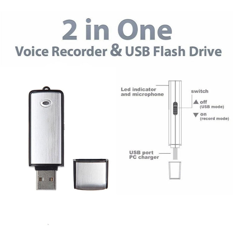 USB Voice Recorder + 8GB USB Flash Disk