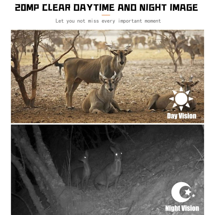 PR700 1080P Wildlife Hunting Camera Motion Activated Night Vision Camcorder for Outdoor Tracking Scan Trigger