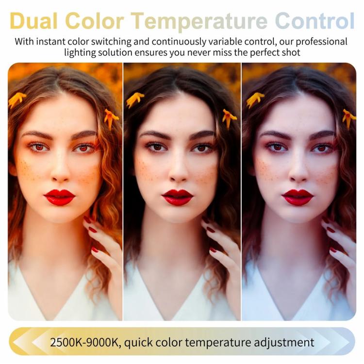 JMARY FM-168R Dual Color Temperature 160 LED Beads Portable Magnetic Phone Fill Light