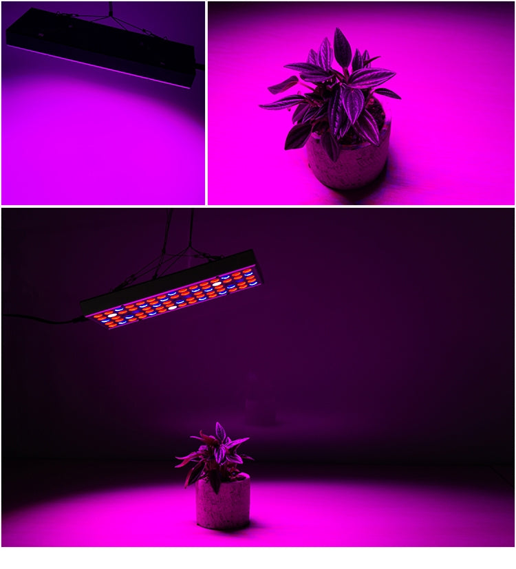 25W 75LEDs Full Spectrum Plant Lighting Fitolampy For Plants Flowers Seedling Cultivation Growing Lamps LED Grow Light  AC85-265V