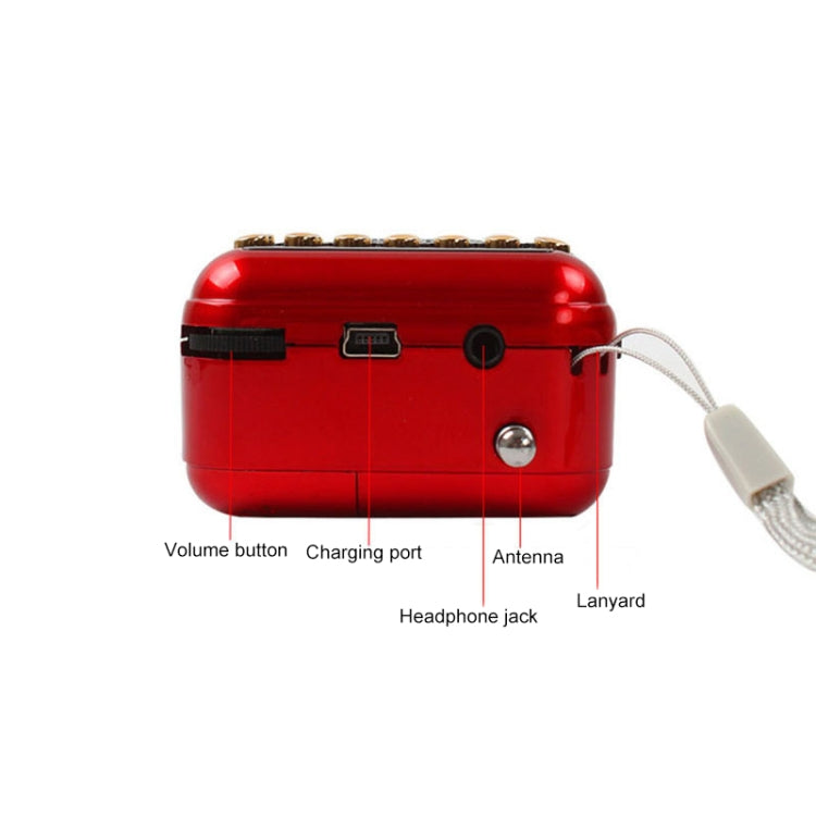 Portable Rechargeable FM Radio Receiver Speaker, Support USB / TF Card / Music MP3 Player