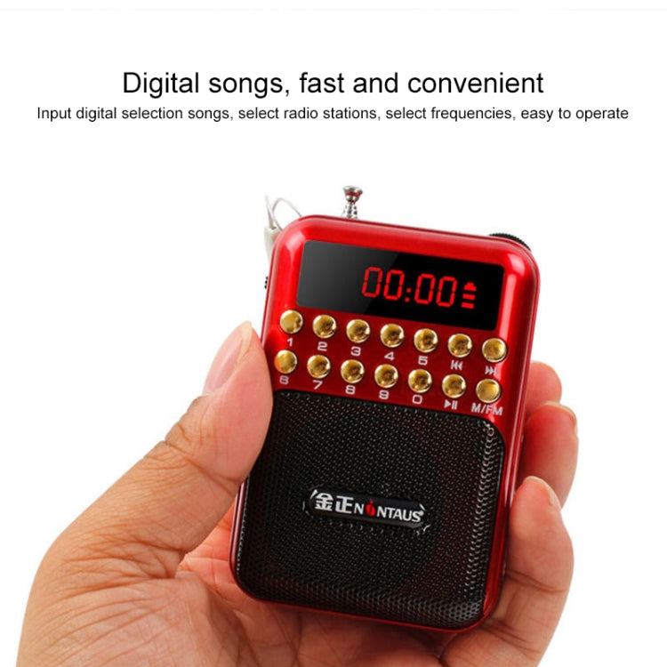 Portable Rechargeable FM Radio Receiver Speaker, Support USB / TF Card / Music MP3 Player