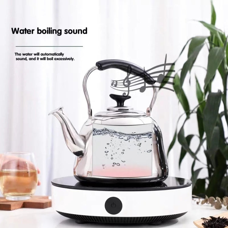 Stainless Steel Whistle Kettle for Induction Cooker Home Classical Piano Sound Singing Pot without Magnetic Heat