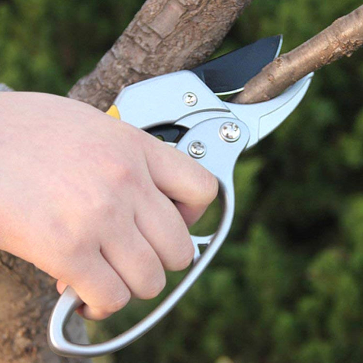 Labor-saving Hand Garden Gardening Shears Beak Manual Branch Pruning Shears