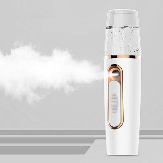 Portable Mini Moisturizing Sprayer Rechargeable Beauty Disinfectant Humidifier Automatic Alcohol Sprayer
