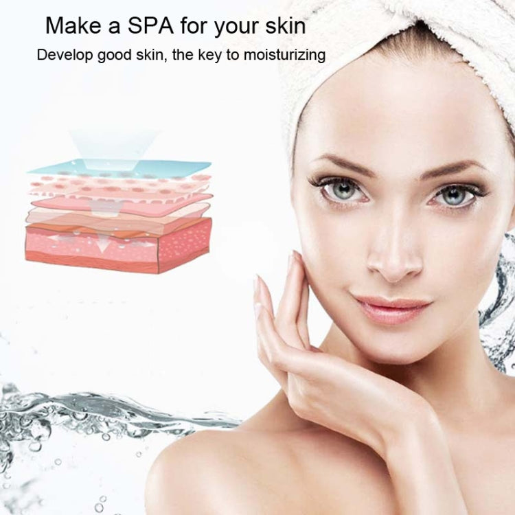 Facial Hydration Instrument Air Humidifier USB Beauty Cold Spray Instrument Auto Alcohol Disinfection Spayer