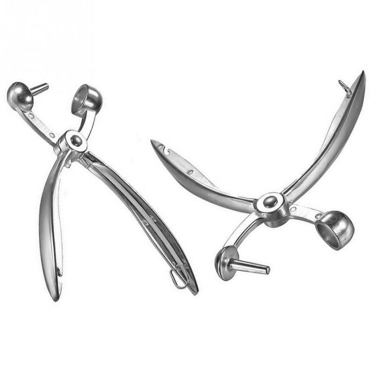 Fruit Stainless Steel Corer Cherry Nucleator