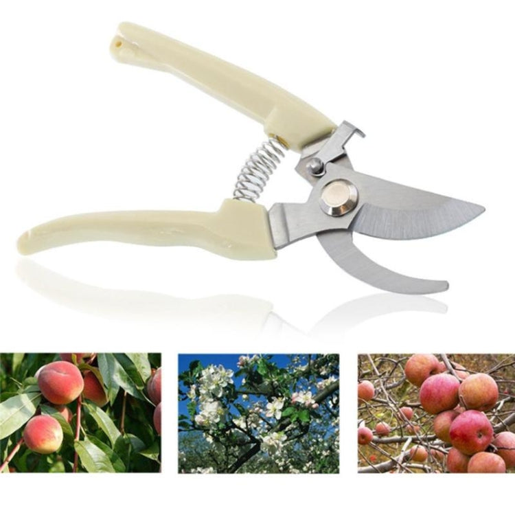 Garden Tools Stainless Steel Pruning Shears Fruit Tree Scissors Garden Branch Shears New And Old Packages Randomly Delivery