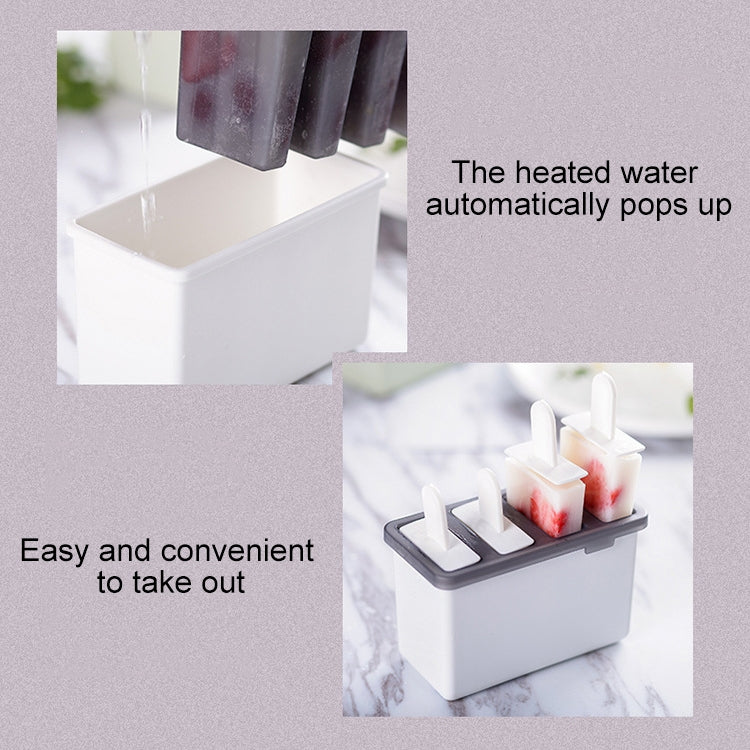 Home Made Popsicle Ice Cream Mold Set