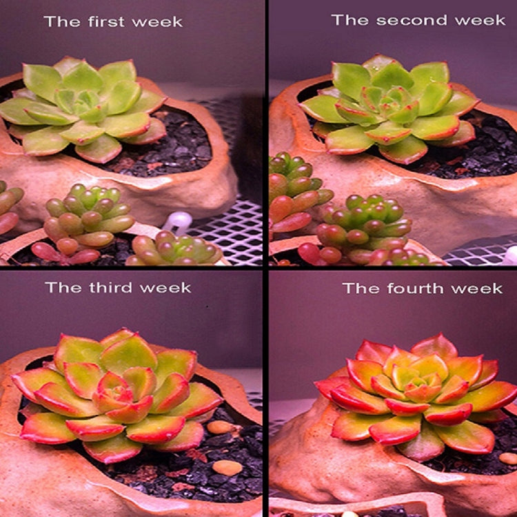 COB Plant Growth Light LED Vegetable Planting Succulent Light