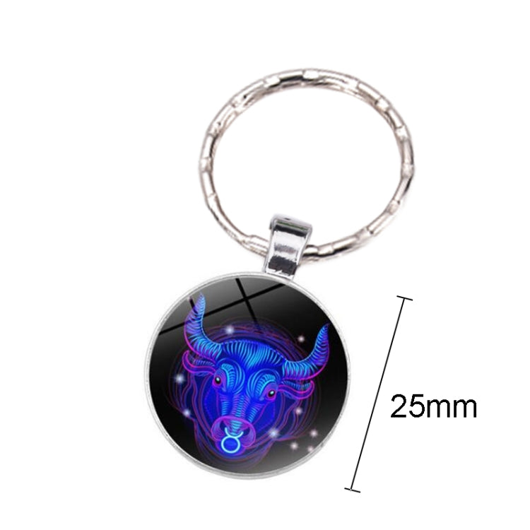 Zodiac Sign Keychain 12 Constellation Pendant Single Face Keyring