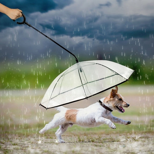 Pet Umbrella Transparent Adjustable Rainy Dog ?Walking Leash