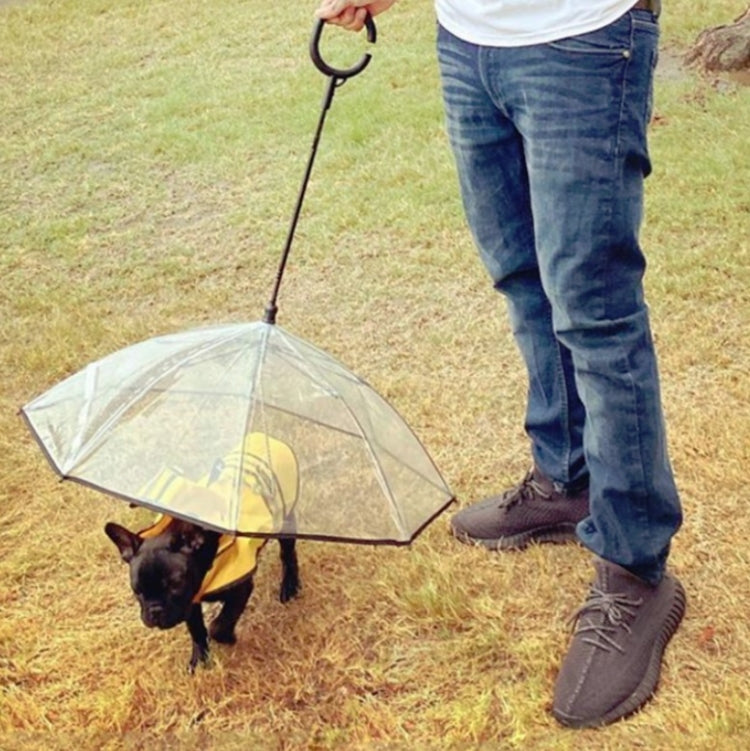 Pet Umbrella Transparent Adjustable Rainy Dog ?Walking Leash