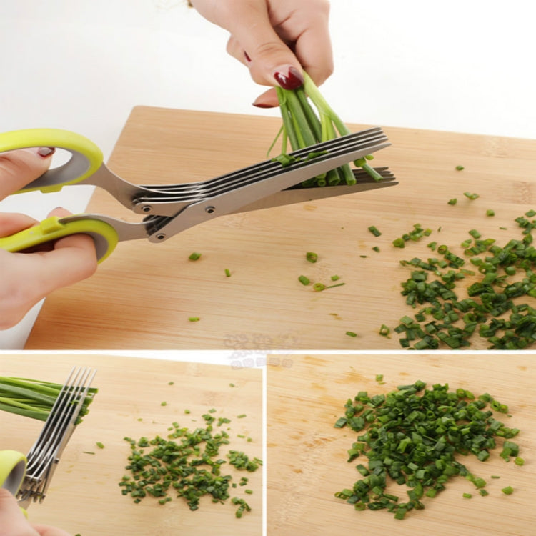 Minced 5 Layers Basil Rosemary Kitchen Scissor Shredded Chopped Scallion Cutter