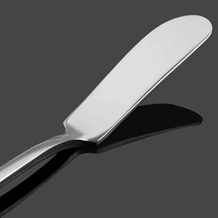 Stainless Steel Butter Knife