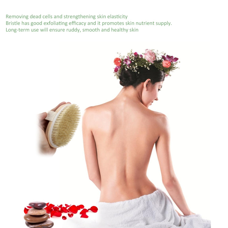 Soft Natural Bristle SPA Brush Without Handle