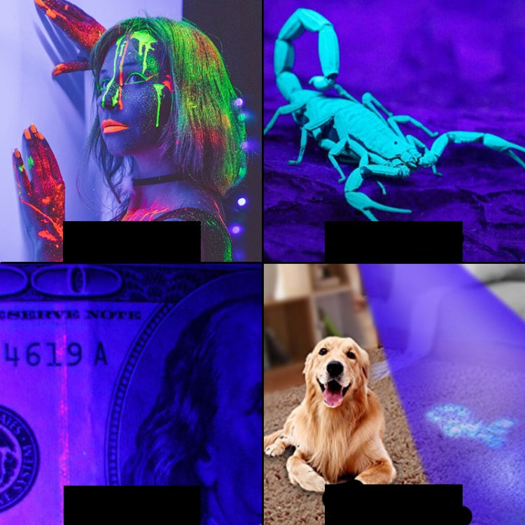 Purple Flashlight Scorpion Fluorescent Detection Lamp Money Detector Lamp Outdoor Lamp