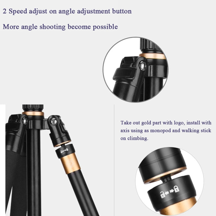 Q222 Portable 4-Section Folding Legs Aluminum Alloy Tripod Mount Monopod Holder with Ball Heads