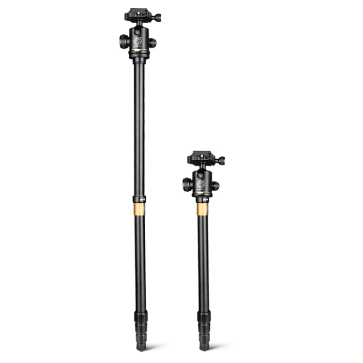 Q222 Portable 4-Section Folding Legs Aluminum Alloy Tripod Mount Monopod Holder with Ball Heads