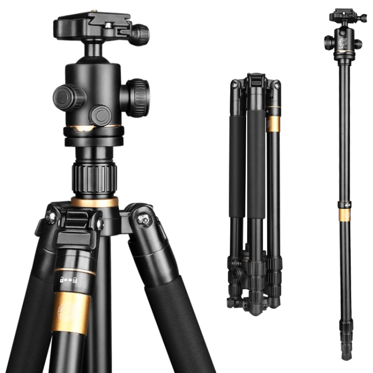 Q222 Portable 4-Section Folding Legs Aluminum Alloy Tripod Mount Monopod Holder with Ball Heads
