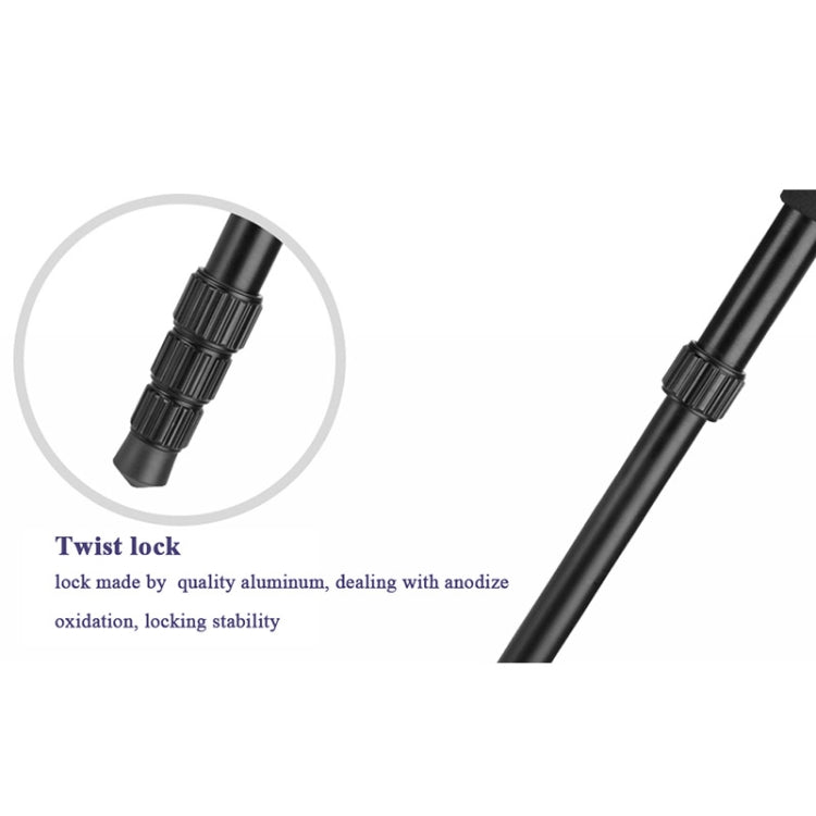 Q222 Portable 4-Section Folding Legs Aluminum Alloy Tripod Mount Monopod Holder with Ball Heads