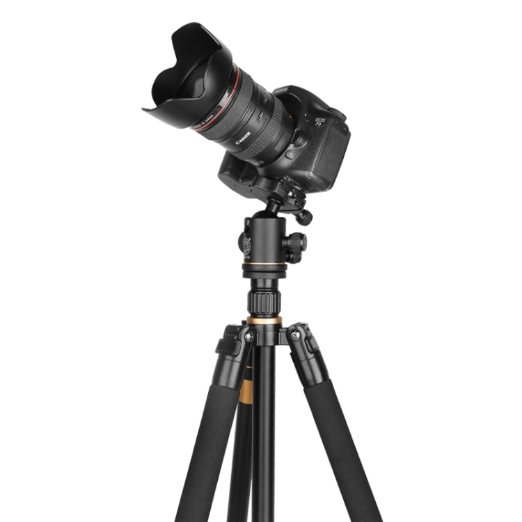 Q222 Portable 4-Section Folding Legs Aluminum Alloy Tripod Mount Monopod Holder with Ball Heads
