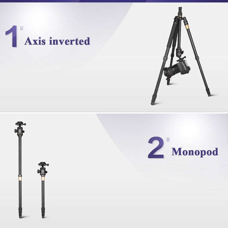 Q222 Portable 4-Section Folding Legs Aluminum Alloy Tripod Mount Monopod Holder with Ball Heads