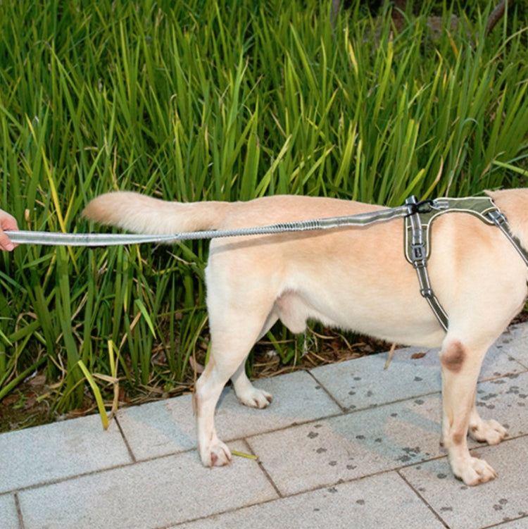 Dog Outdoor Anti-Scourge Traction Rope Nylon Reflective Elastic Stretch Dog Walking Rope