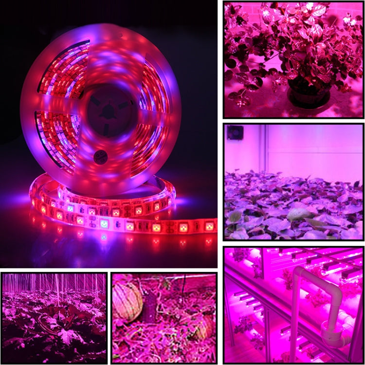 5m 300 LEDs SMD 5050 Full Spectrum LED Strip Light Fitolampy Grow Lights for Greenhouse Hydroponic Plant
