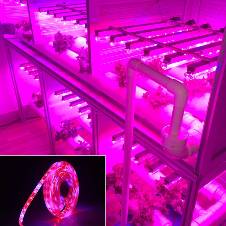 5m 300 LEDs SMD 5050 Full Spectrum LED Strip Light Fitolampy Grow Lights for Greenhouse Hydroponic Plant