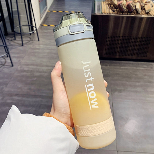 Cartoon Girl Straw Cup Fresh Frosted Gradient Scale Plastic Cup Portable Cup