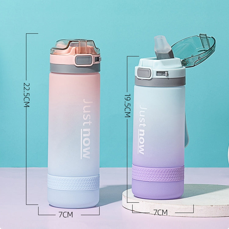 Cartoon Girl Straw Cup Fresh Frosted Gradient Scale Plastic Cup Portable Cup