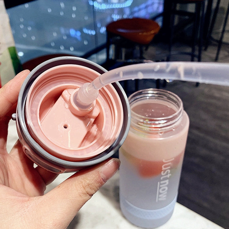 Cartoon Girl Straw Cup Fresh Frosted Gradient Scale Plastic Cup Portable Cup