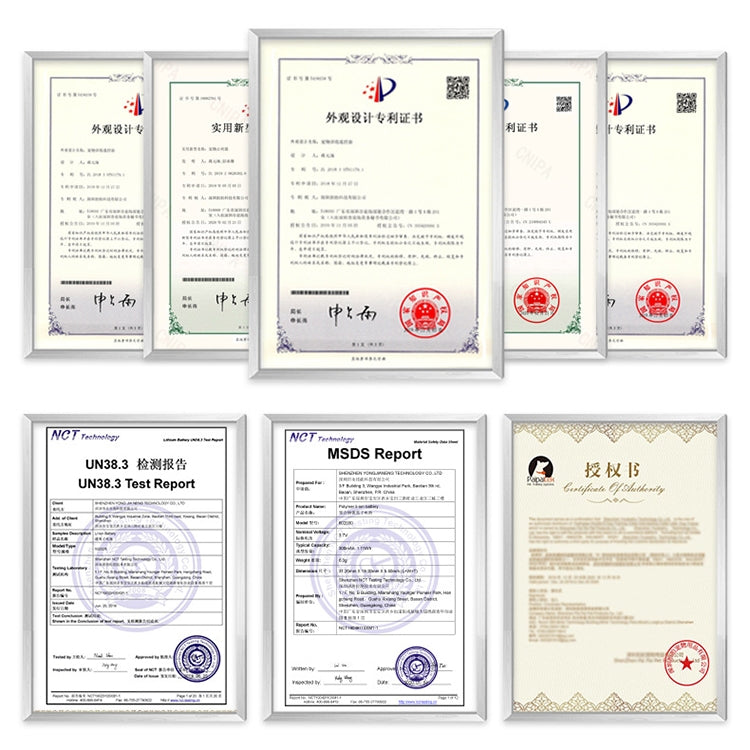 PaiPaitek PD529V-1 Training Dog Anti-Barking Device Vibration Collar 1000M Remote Control Distance Pet Training Supplies