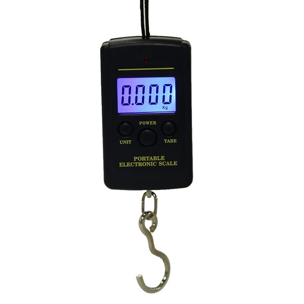 10g Mini Digital Fishing Scale Travel Weighting Steelyard Hanging Electronic Hook Scale Kitchen Weight Tool, Capacity:40kg