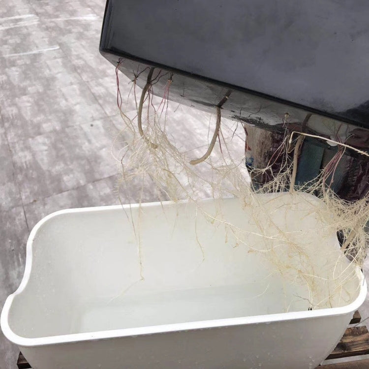 Family Balcony Rectangular Plastic Self-Absorbent Vegetable Growing Pot Flower Pot, Style: