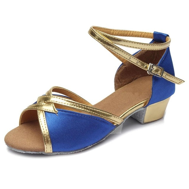 Tango Salsa Latin Low Heel Soft Bottom Dance Shoes for Girls & Women, 36, 37, 38, 40