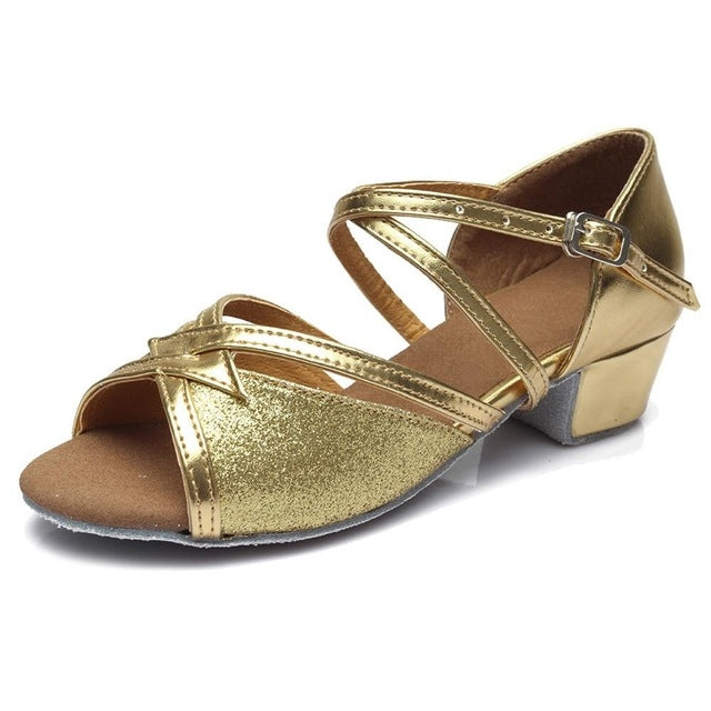 Tango Salsa Latin Low Heel Soft Bottom Dance Shoes for Girls & Women, 36, 37, 38, 40