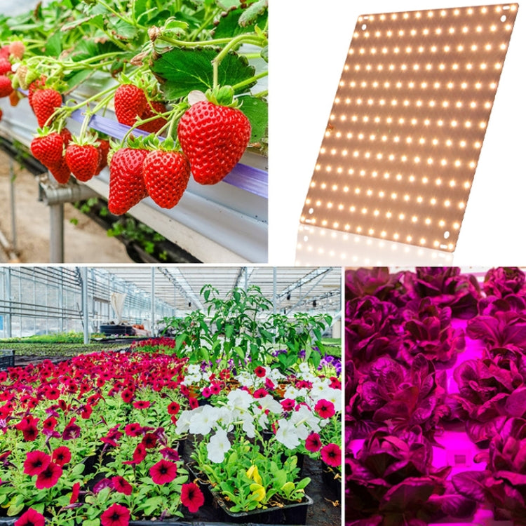 LED Plant Growth Light Indoor Quantum Board Plant Fill Light, Style:
